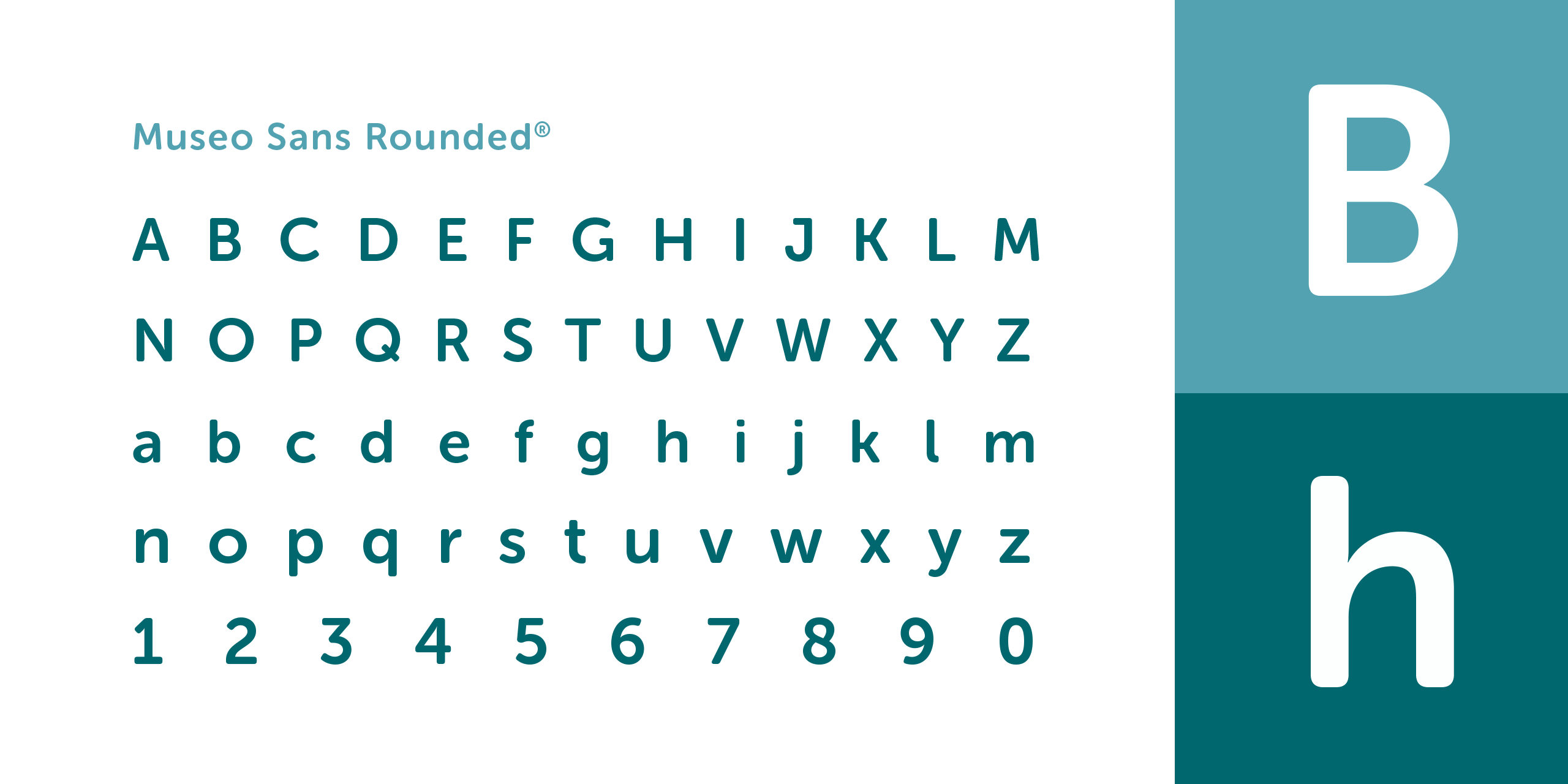The Business Harbour - Visual Guidelines - Fonts