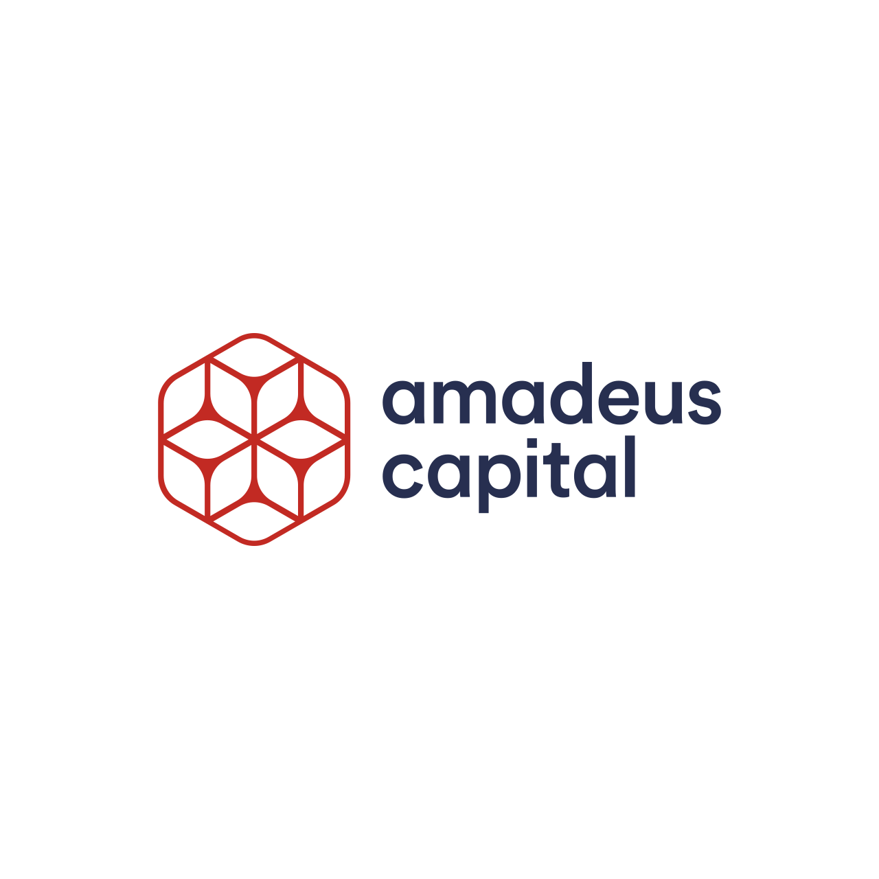 New logo Amadeus Capital