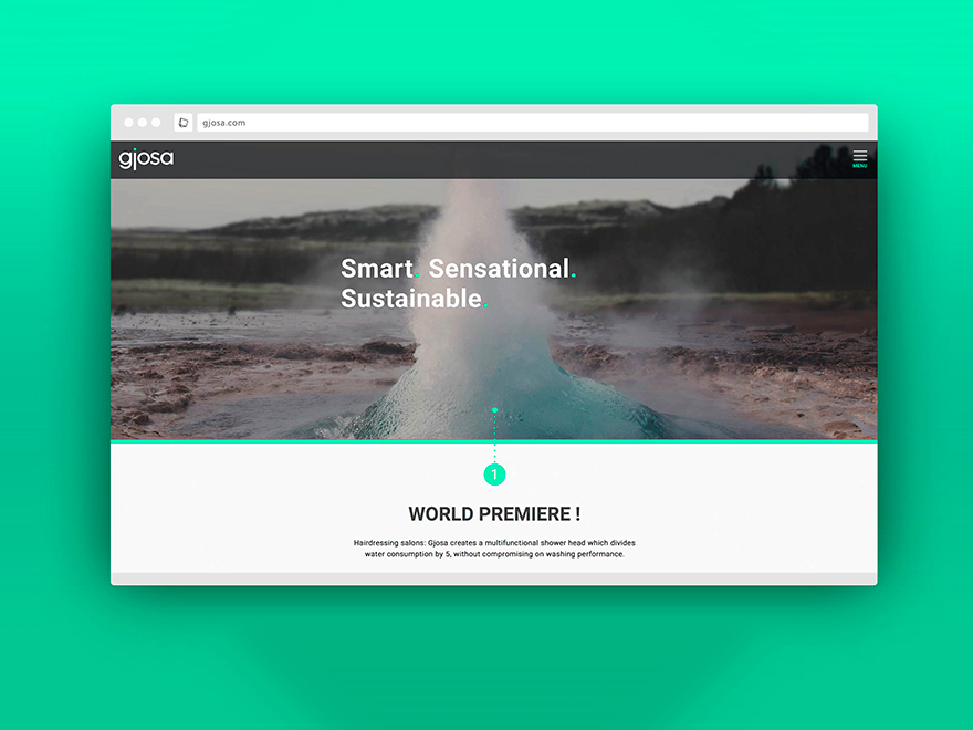 Website